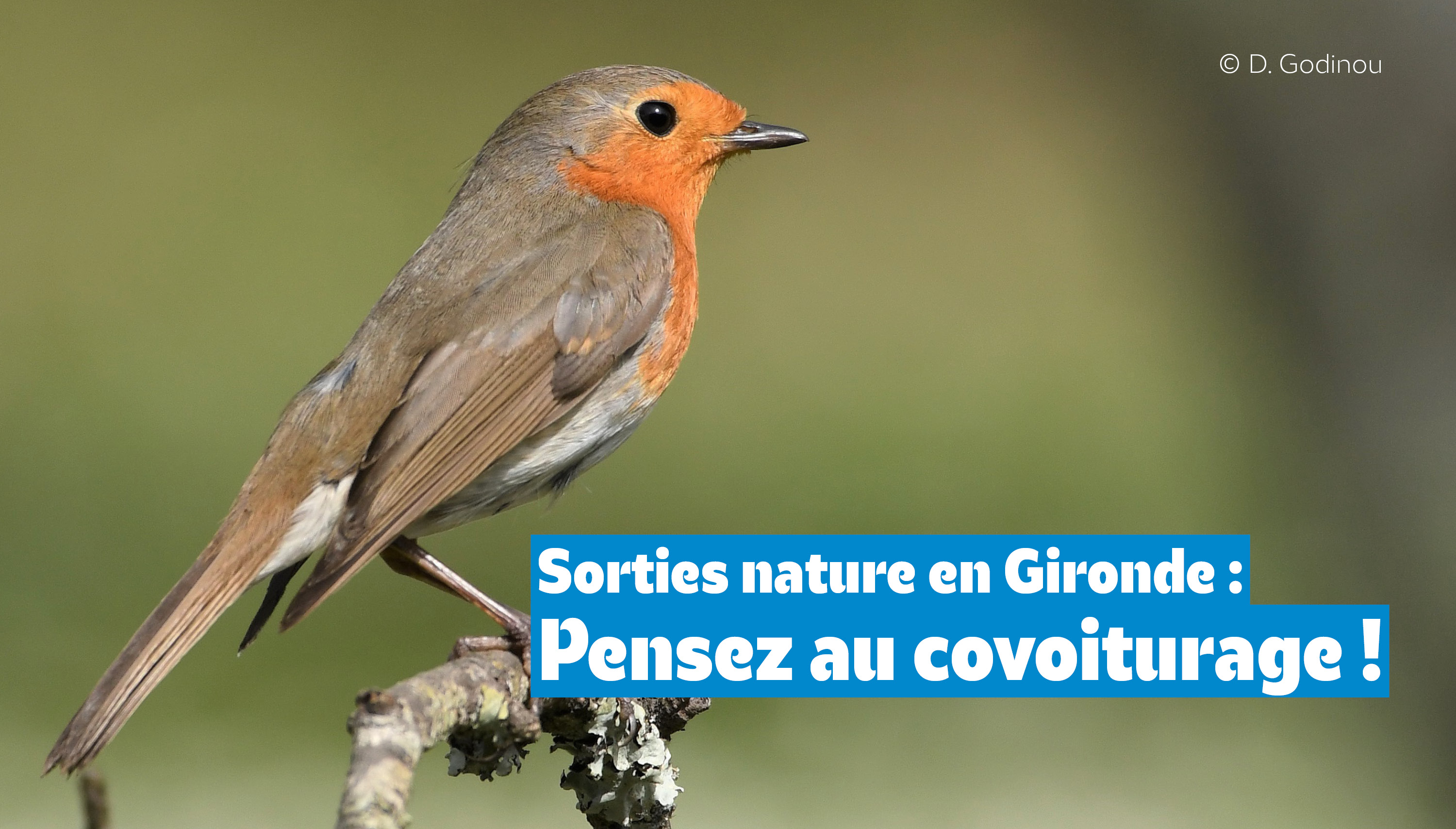 Sorties nature en Gironde : pensez au covoiturage !
